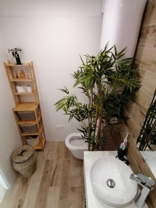 Superbe Studio Ethnique Apartment Hyeres Bagian luar foto